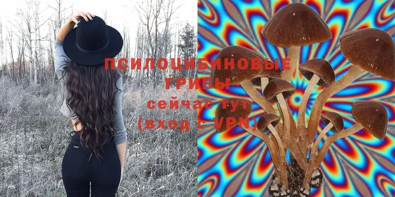 Псилоцибиновые грибы Magic Shrooms  сколько стоит  omg рабочий сайт  shop Telegram  Починок 